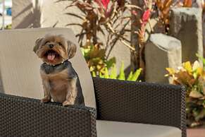 Residence Inn by Marriott Fort Lauderdale Airport & Cruise Port