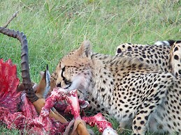 Mara Ngenche Safari Camp