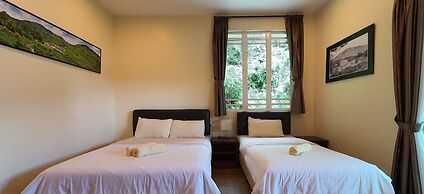 Arundina Cameron Highlands