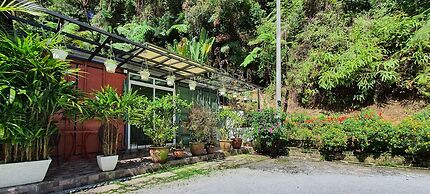 Arundina Cameron Highlands