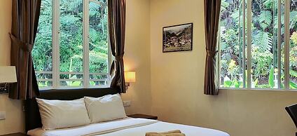 Arundina Cameron Highlands