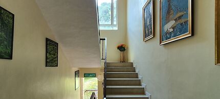 Arundina Cameron Highlands