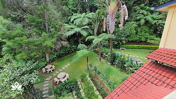 Arundina Cameron Highlands