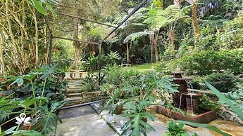 Arundina Cameron Highlands