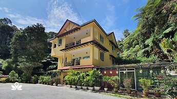 Arundina Cameron Highlands