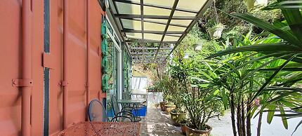 Arundina Cameron Highlands