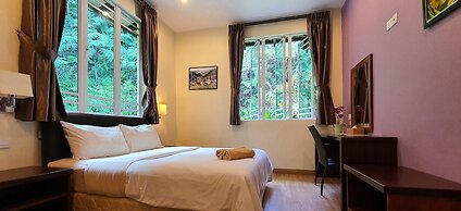 Arundina Cameron Highlands