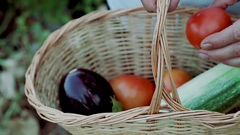 Club Resort Atlantis