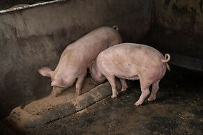 Rancho Margot - All meals included