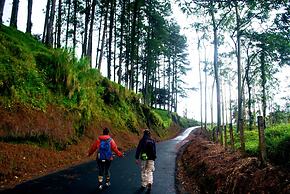 Rancho Margot - All meals included