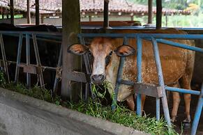 Rancho Margot - All meals included