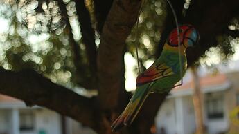 Ecovergel Hotel Boutique