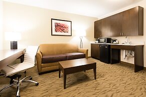 Holiday Inn Express & Suites Aiken, an IHG Hotel