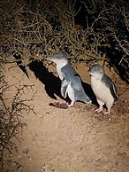 Low Head Pilot Station