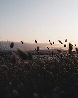 Low Head Pilot Station