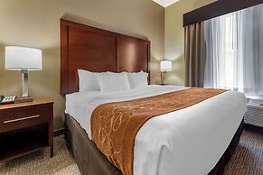 Comfort Suites Bridgeport - Clarksburg
