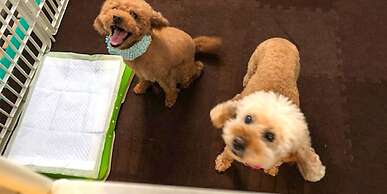 naokonoza Bettei Umekoji