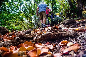 Copper and Lumber Store Hotel
