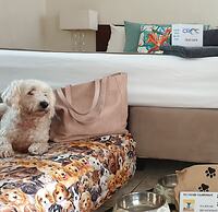 Kimberley Croc Motel