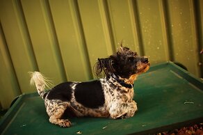 Kimberley Croc Motel