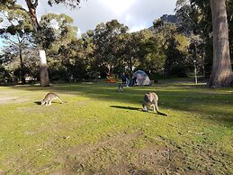 Breeze Holiday Parks - Halls Gap