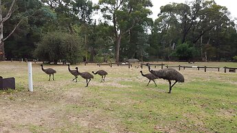 Breeze Holiday Parks - Halls Gap