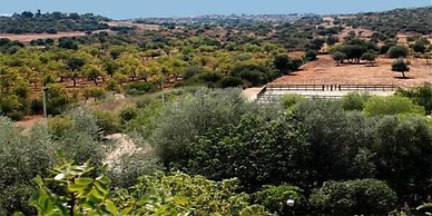 Fattoria Terra e Libertà