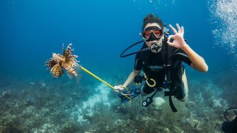 Ray Caye Private Island Resort