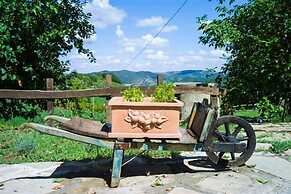 Agriturismo Azienda Agricola Bortolotti