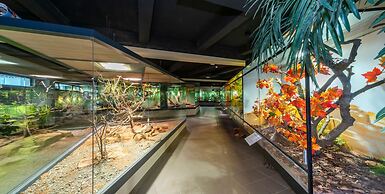 Haus Saarland am Rennsteig