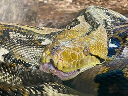 Haus Saarland am Rennsteig