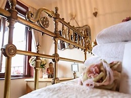 The Shepherd's Purse