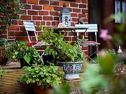 The Shepherd's Purse