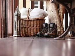 The Shepherd's Purse