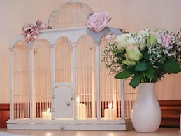 The Shepherd's Purse