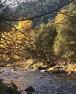 Dunsmuir Lodge