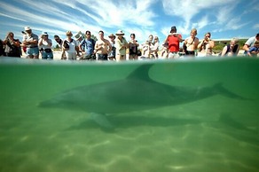 Wander Inn – Bunbury Backpackers