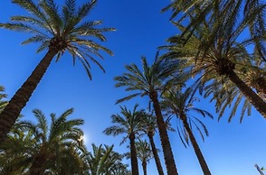 Beatriz Charming Hostal