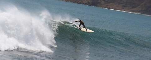 Machele' s Place Beachside Hotel & Pool