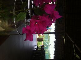 Machele' s Place Beachside Hotel & Pool