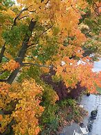 Niagara Grandview Boutique hotel