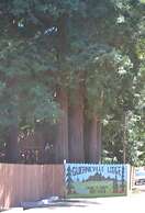 Guerneville Lodge