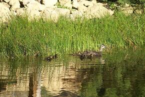 Daysy Hill Country Cottages