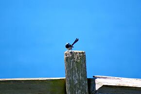 Daysy Hill Country Cottages