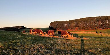 Daysy Hill Country Cottages