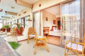 L'Oiseau de l'Océan