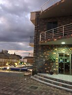 L'Oiseau de l'Océan