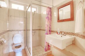 L'Oiseau de l'Océan