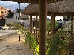 L'Oiseau de l'Océan