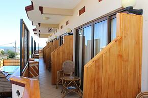 L'Oiseau de l'Océan